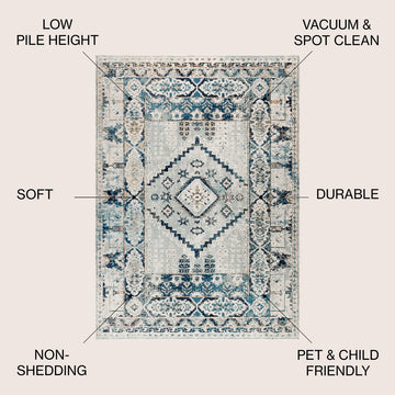 Osuna Diamond Vintage Medallion Area Rug